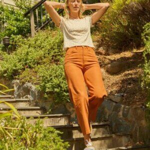 Mollusk painter pants -rust